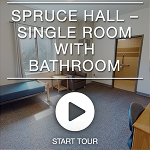 spruce room tour image